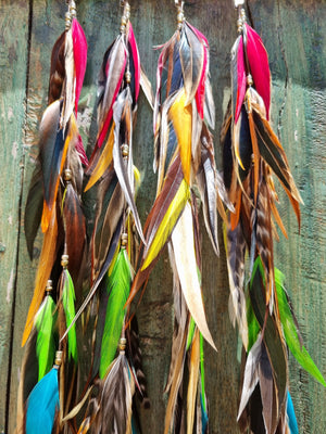 Feather clips